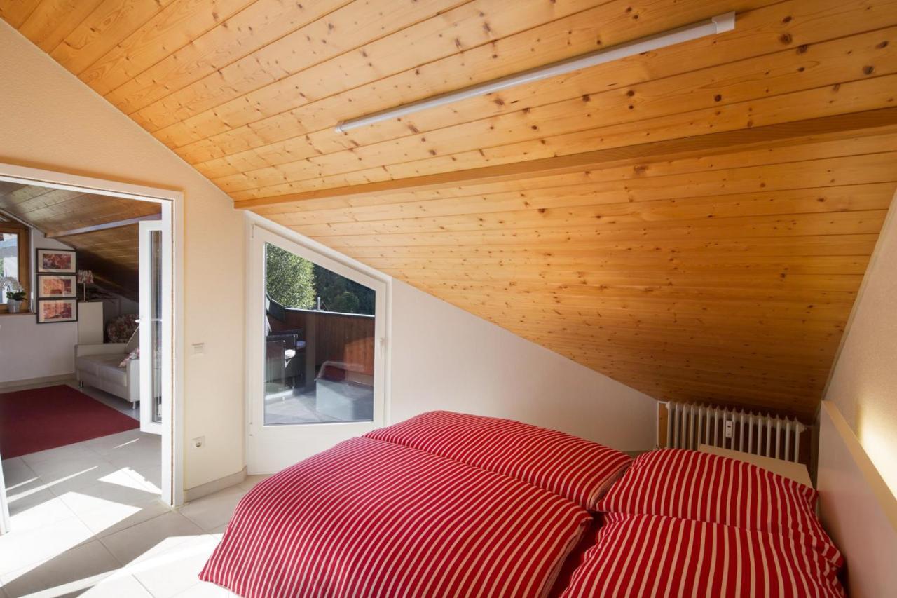 Tanja'S Comfort Apartment Titisee Kültér fotó